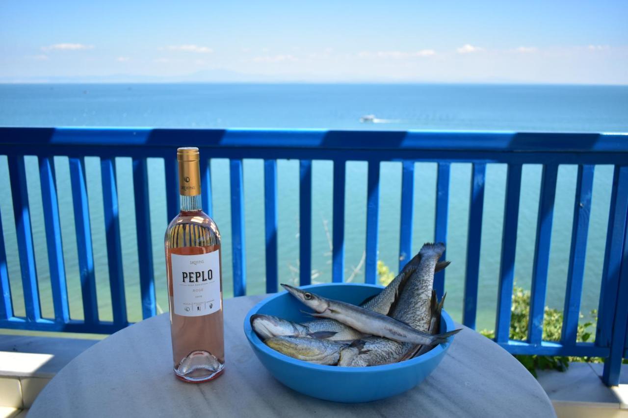 Navy Greece Villa With Swimming Pool & Sea View Makrygialos Esterno foto